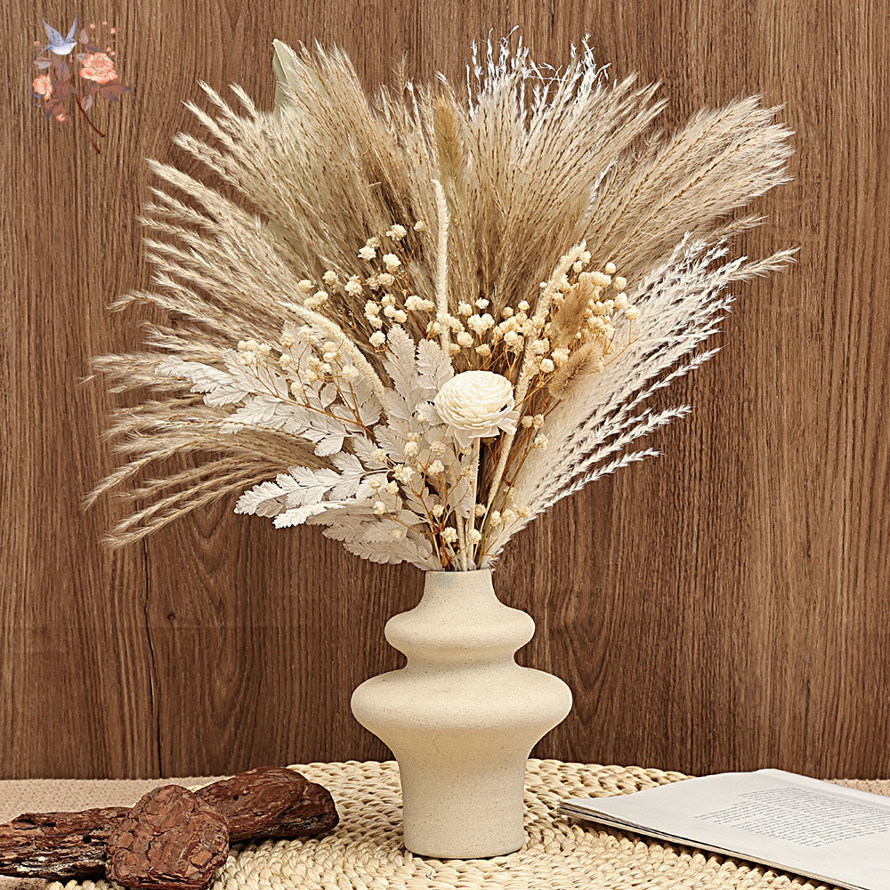 Dried Pampas Bundle - 40 Sztuk Suszonych Trzciny Pampasowej Liście