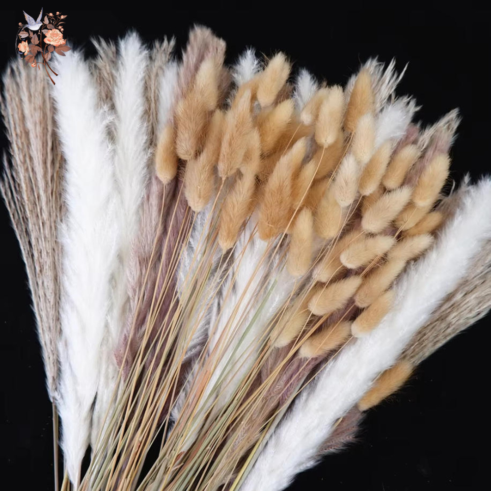 Dried Pampas Bundle - Mieszany naturalny bukiet suszonych kwiatów, trawa