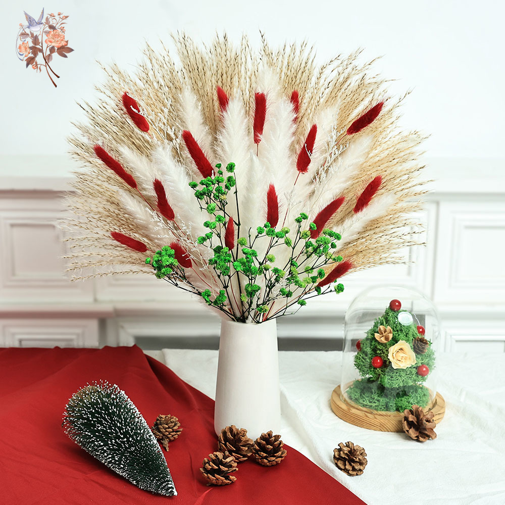Dried Pampas Bundle - 55 szt. Suszone Kwiaty Bukiet Dekoracje