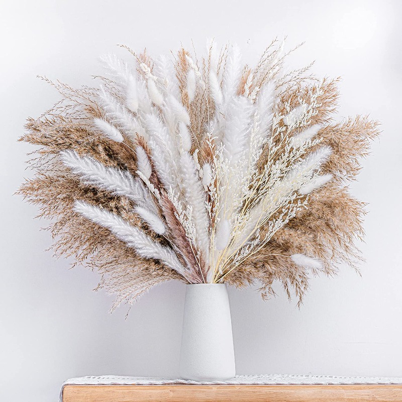 50-105 szt. Boho Rustic Miesza – Dried Pampas Bundle recenzja i cena
