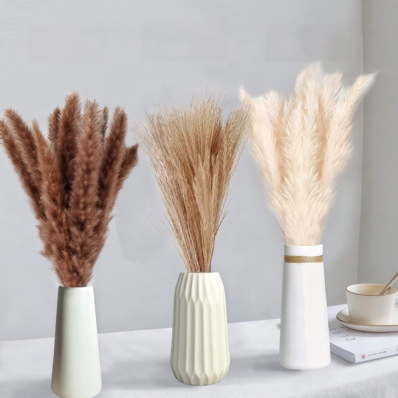 50-105 szt. Boho Rustic Miesza – Dried Pampas Bundle recenzja i cena