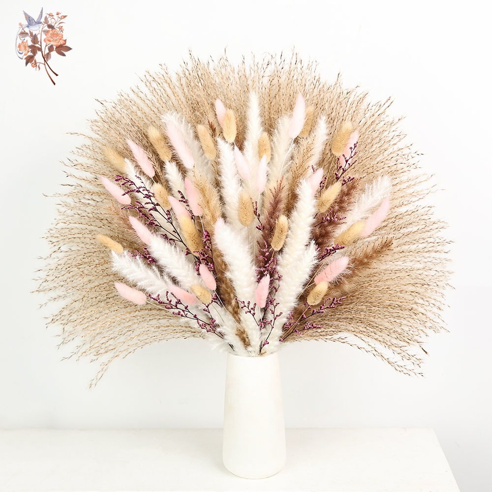 Puszyste trawy pampasowe, król – Dried Pampas Bundle recenzja i cena