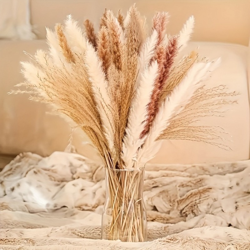 110 sztuk mieszanych suszonych – Dried Pampas Bundle recenzja i cena