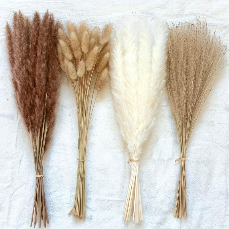 110 sztuk mieszanych suszonych – Dried Pampas Bundle recenzja i cena