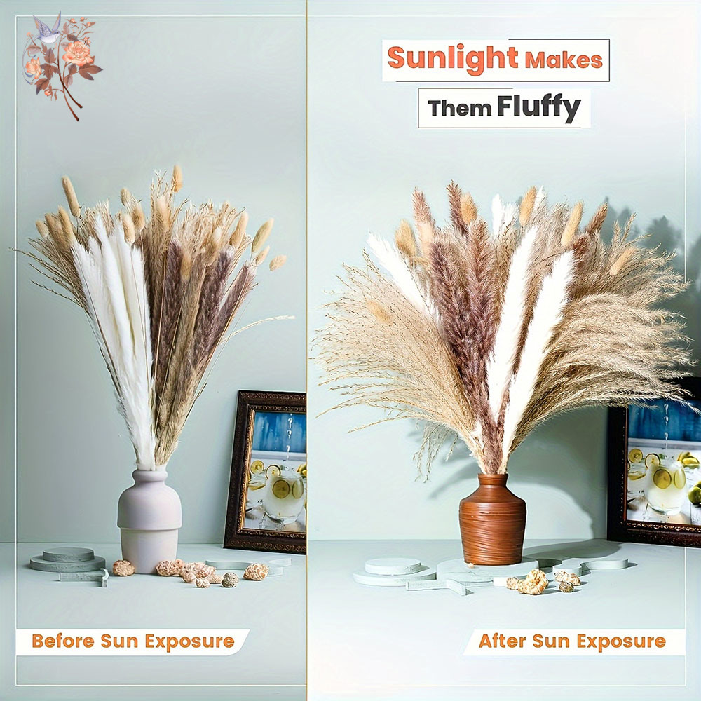 Mieszany naturalny bukiet susz – Dried Pampas Bundle recenzja i cena