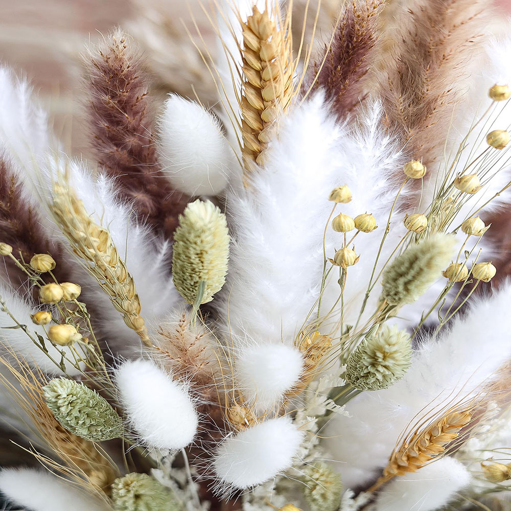 100 szt. Suszony Bukiet Trawy  – Dried Pampas Bundle recenzja i cena