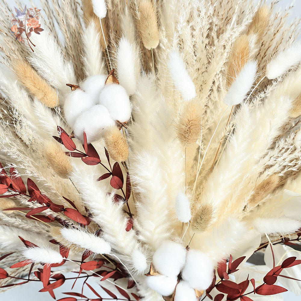 70 szt. Suszone Kwiaty Pampaso – Dried Pampas Bundle recenzja i cena