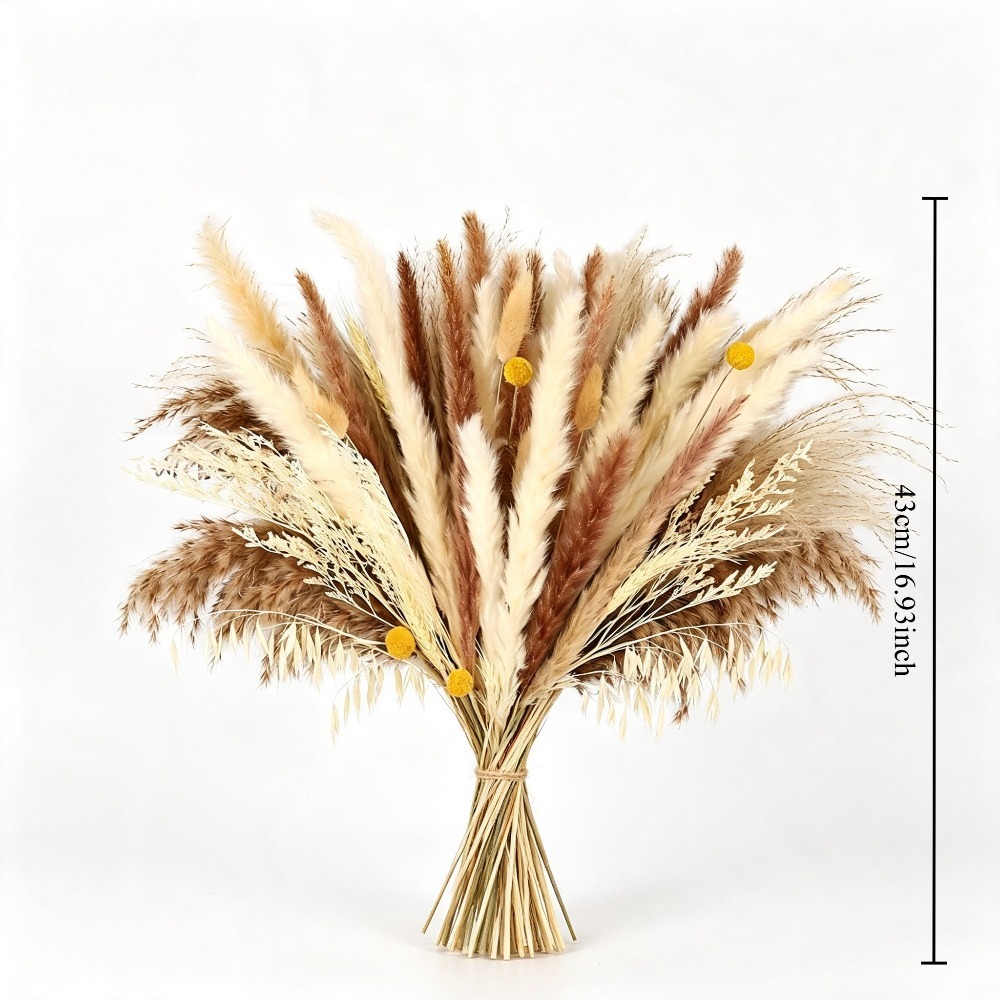 Naturalny mieszany bukiet susz – Dried Pampas Bundle recenzja i cena