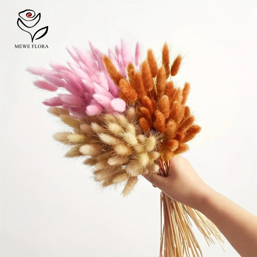 90szt Mieszane 3 kolory Królic – Dried Pampas Bundle recenzja i cena