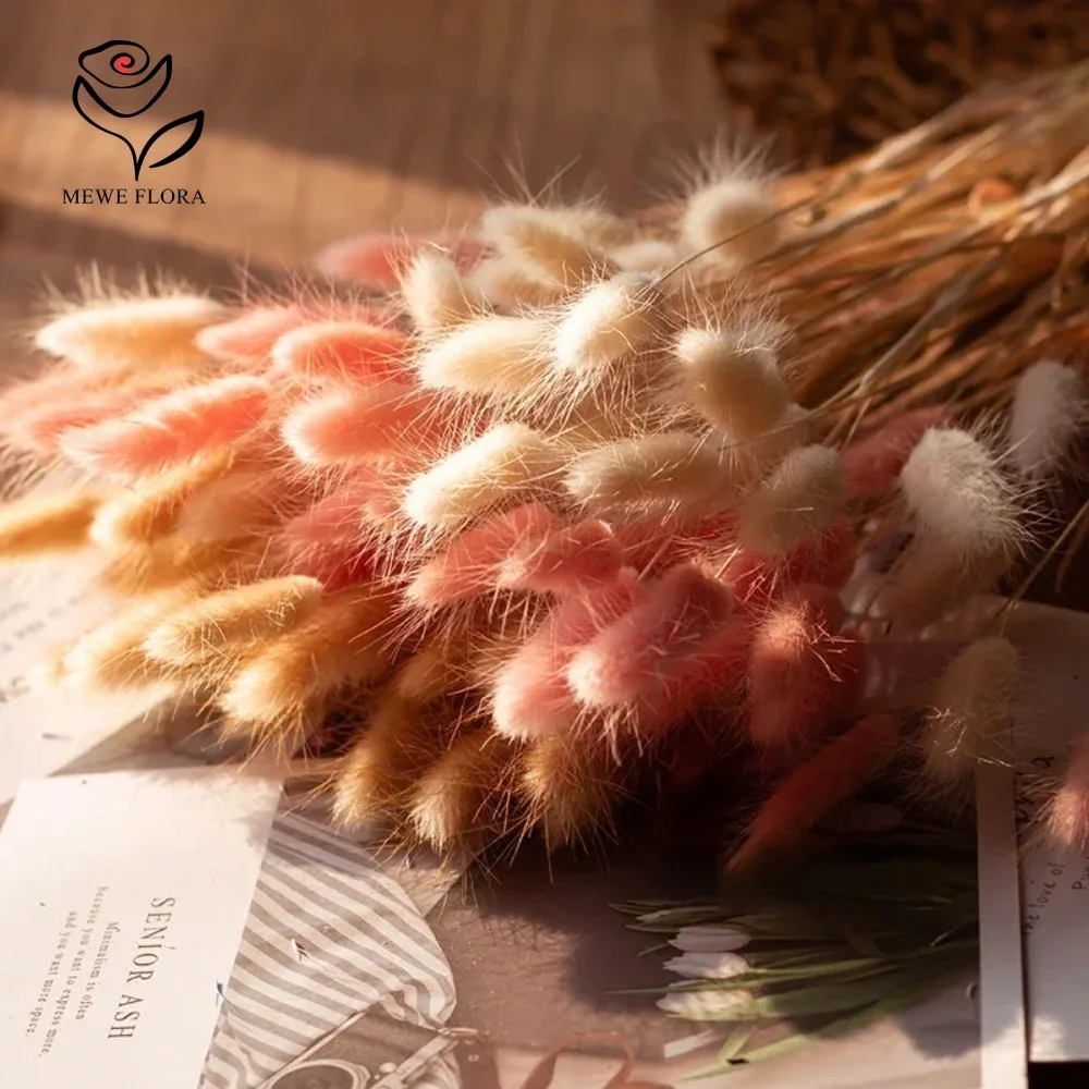 90szt Mieszane 3 kolory Królic – Dried Pampas Bundle recenzja i cena