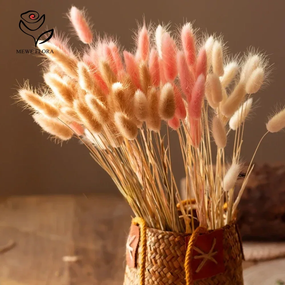 90szt Mieszane 3 kolory Królic – Dried Pampas Bundle recenzja i cena