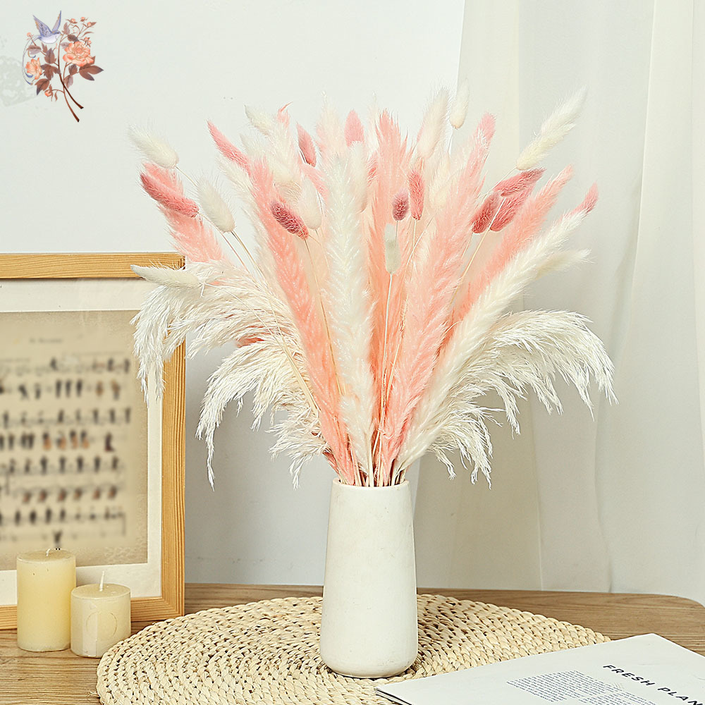 62 Sztuki Białe Trawy Różowe K – Dried Pampas Bundle recenzja i cena