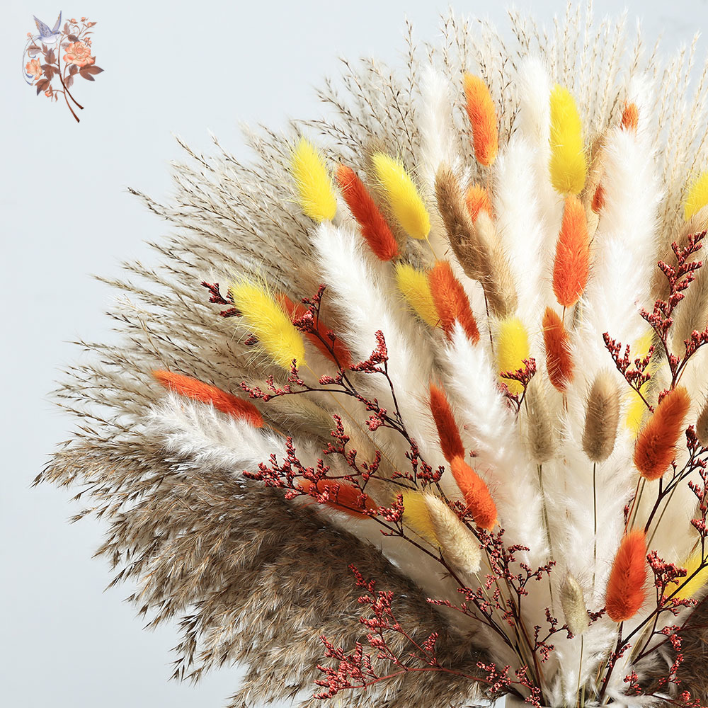 85 Sztuk Naturalnych, Puszysty – Dried Pampas Bundle recenzja i cena