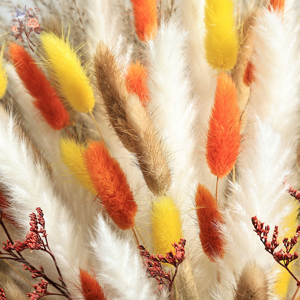 85 Sztuk Naturalnych, Puszysty – Dried Pampas Bundle recenzja i cena