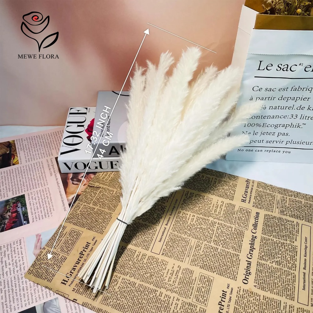 20 szt. Puszyste trzciny pampa – Dried Pampas Bundle recenzja i cena