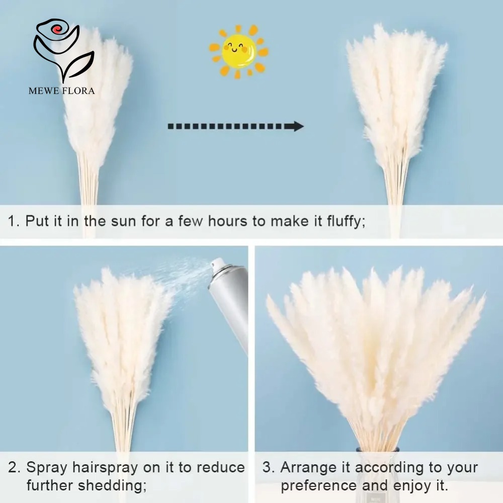 20 szt. Puszyste trzciny pampa – Dried Pampas Bundle recenzja i cena