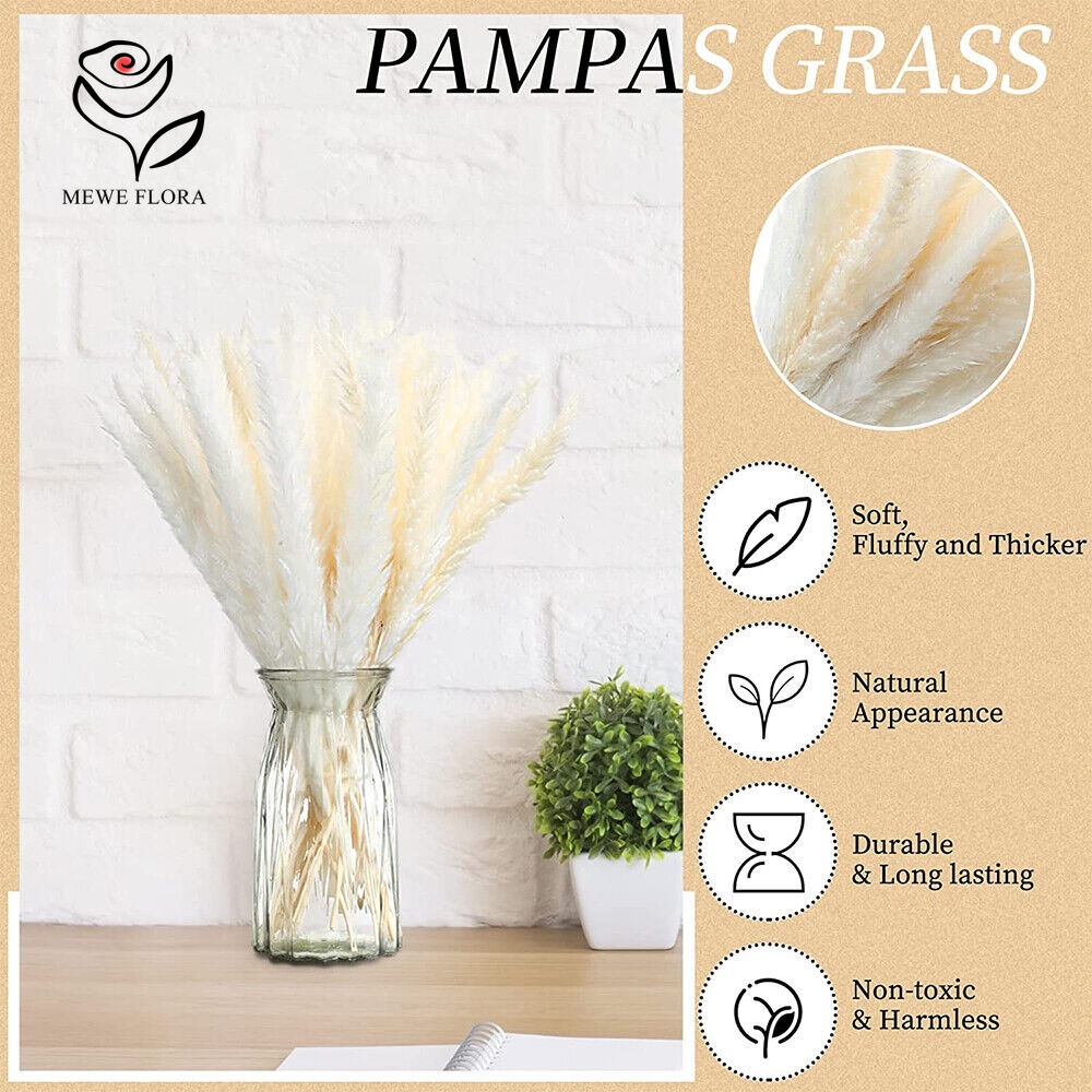 20 szt. Puszyste trzciny pampa – Dried Pampas Bundle recenzja i cena