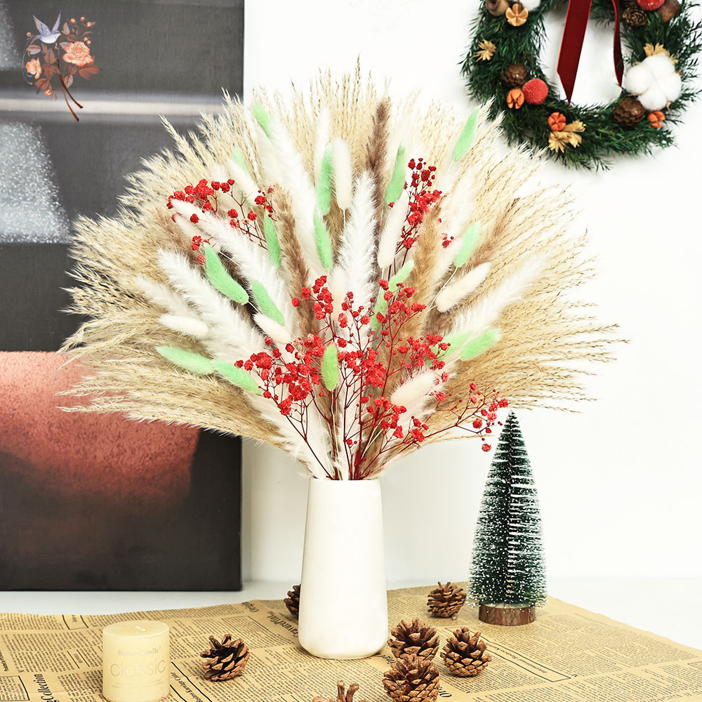 70 Gałązek Puszystej Zielono-C – Dried Pampas Bundle recenzja i cena