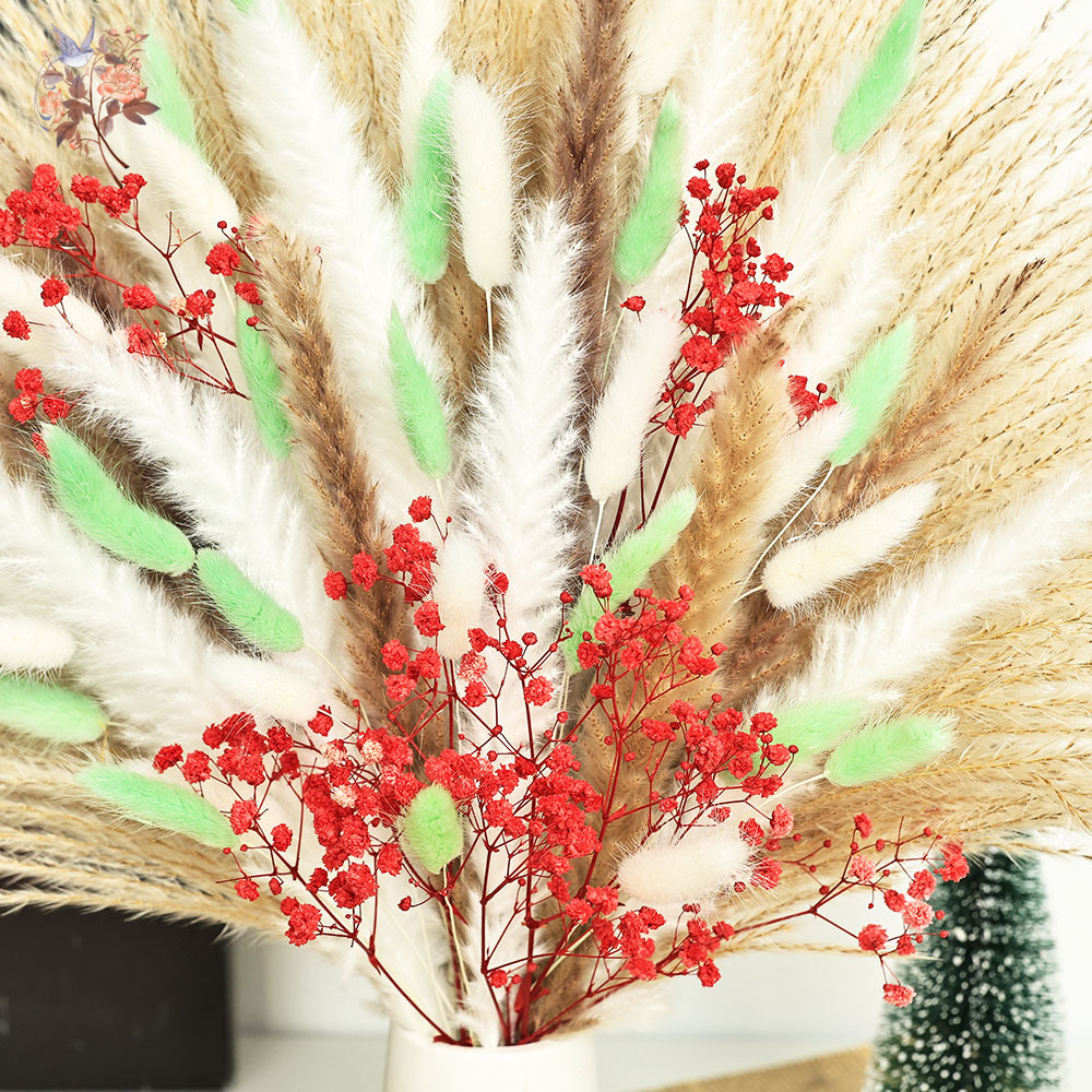 70 Gałązek Puszystej Zielono-C – Dried Pampas Bundle recenzja i cena