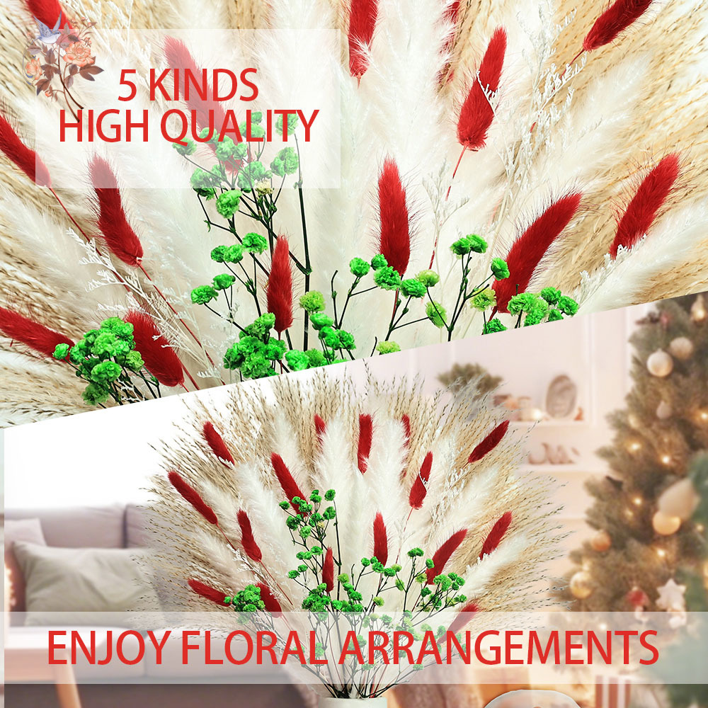 55 szt. Suszone Kwiaty Bukiet  – Dried Pampas Bundle recenzja i cena