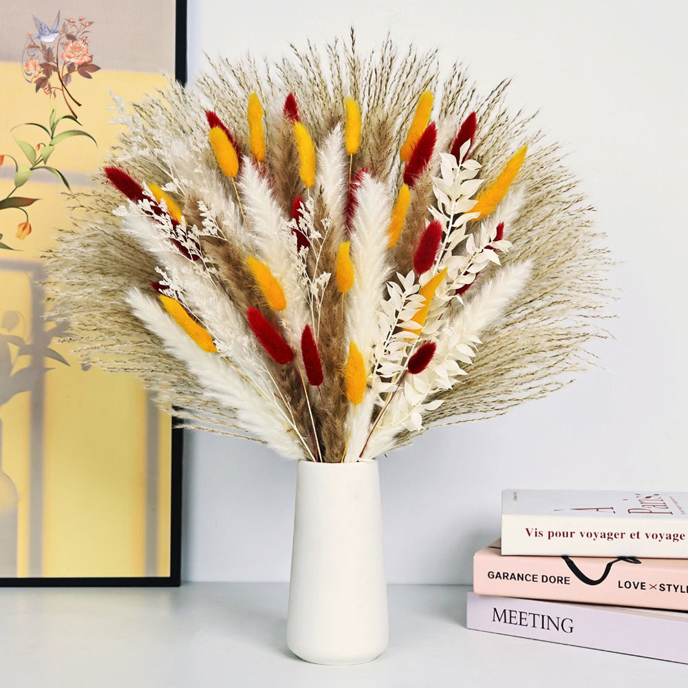 70 sztuk naturalnych, puszysty – Dried Pampas Bundle recenzja i cena