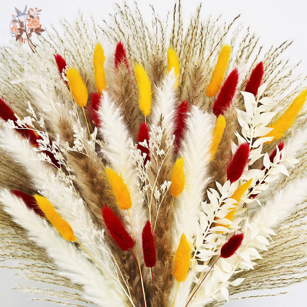 70 sztuk naturalnych, puszysty – Dried Pampas Bundle recenzja i cena