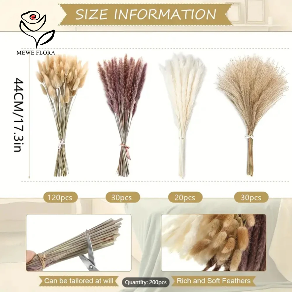 200Pcs Suszone Pampas Bunny Ta – Dried Pampas Bundle recenzja i cena