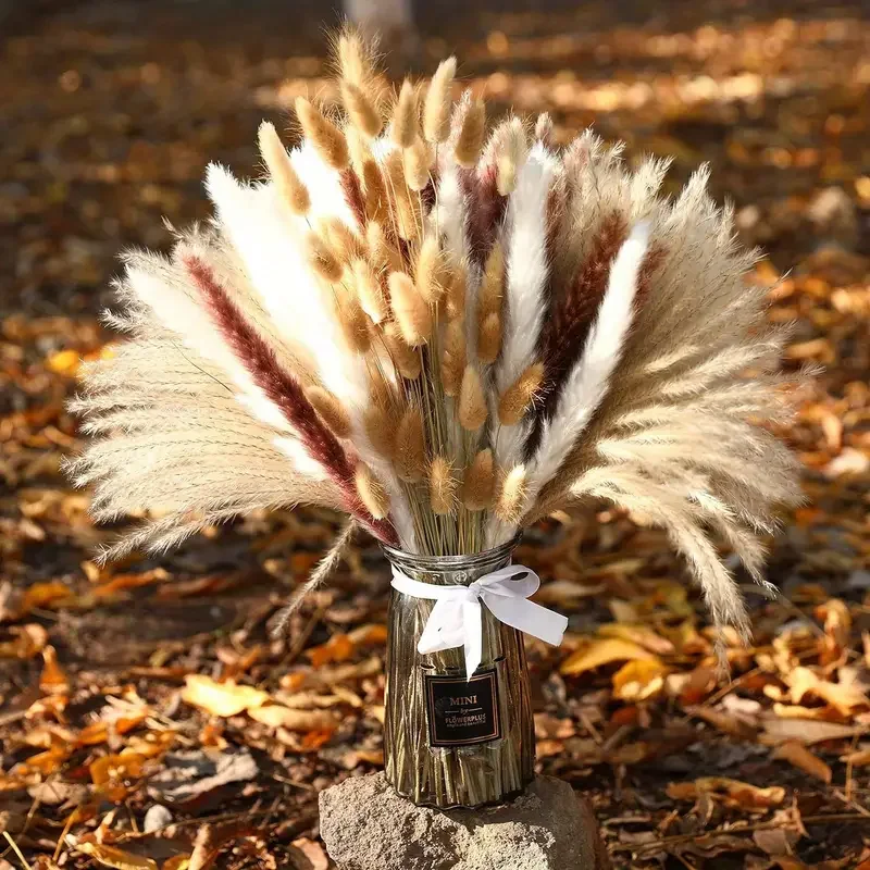 200Pcs Suszone Pampas Bunny Ta – Dried Pampas Bundle recenzja i cena